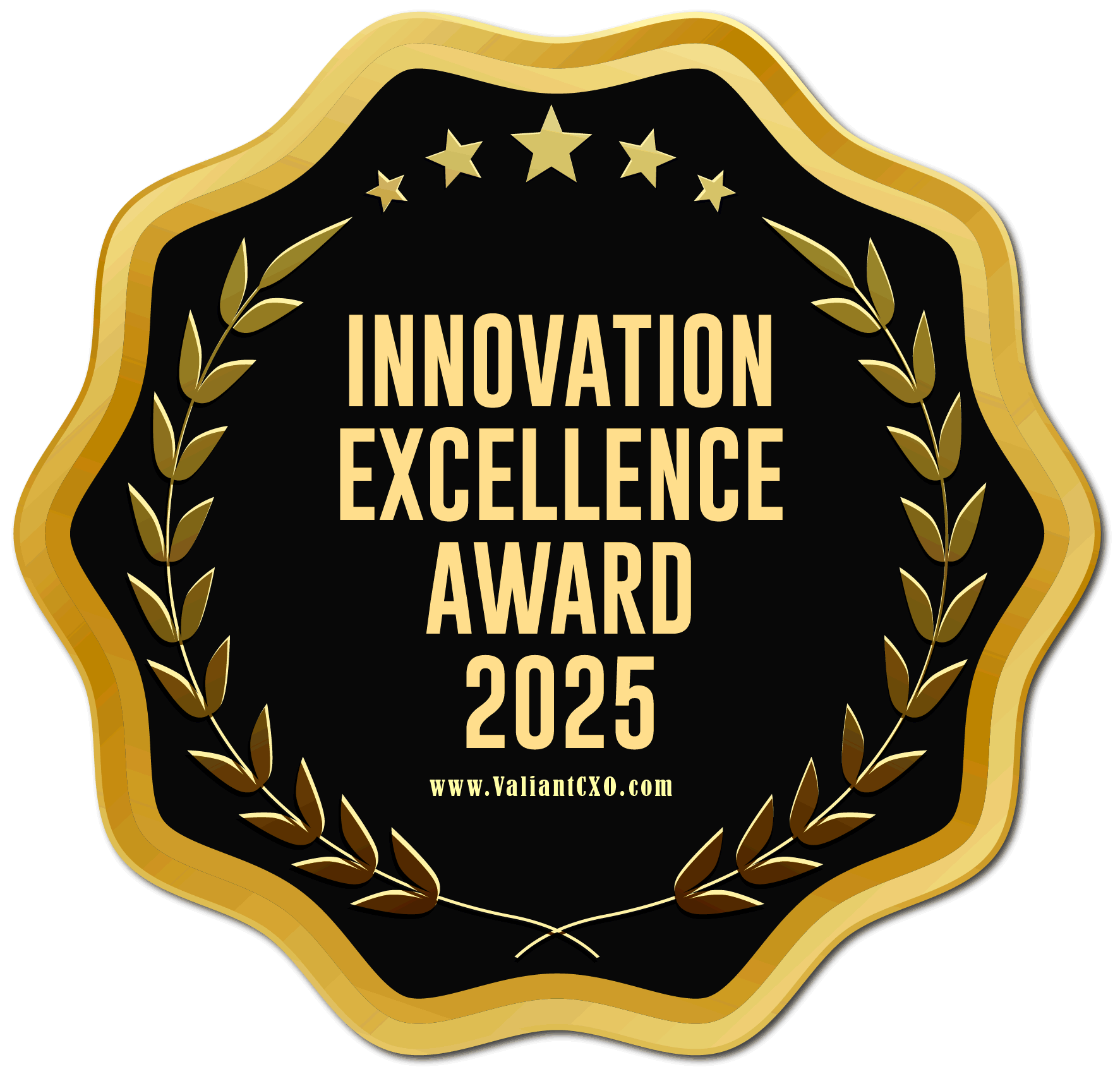 ValiantCXO Awards 2025 (133K)